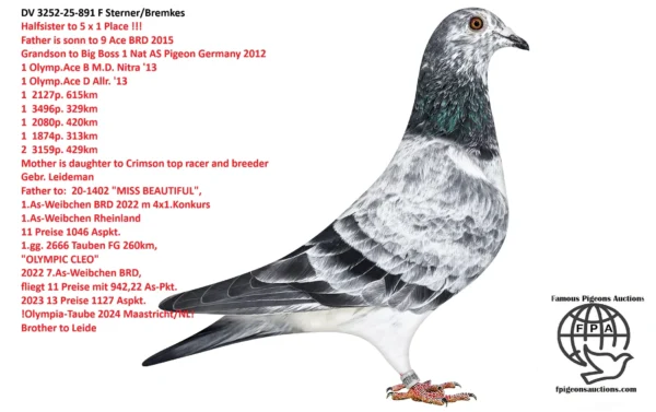 RO 26-288660 CRIM'S BKITTEL Barboi Lucian Grandaughter to super  breeding hen BKittela Mother to: 1  1810p 219km 1  1264p 221km 1   969p 234km 1  2615p 164km  1  1525p 190km 2   365p 382km 3  3057p 181km 6   784p 219km 7  1211p 126km 8  2615p 164km Mother grandaughter to Crimson Gebr. Leideman father to  1 Nat. BRD and & Nat ACE BRD Hen 2022