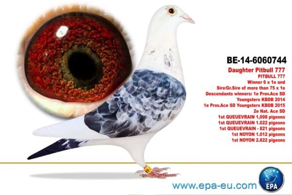 1000130783 DV 866-26-250 Mascul Stefan Olah mama dubla nepoata Pitbull777 tatal consancvin Best Kittel