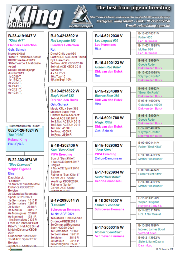 26-1024 DV 6254-26-1024 Roland Kling Femela Tatal consangvina Broer Goede Rode, mama Fiica Leontine 1 Nat. Ace Small Middel Distance KBDB, nepoata Best Kittel
