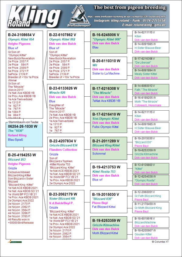 26-1030 DV 6254-26-1030 Roland Kling Femela tatal este nepot Olympic Kittel 006 si The Miracle Dirk Van Den Bulk, mama este nepoata Blizzard King Kittel consangvina reprodusa din fiu Blizzard x sora Blizzard