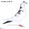 DV-0866-25-887 M DV 866-25-887 Mascul Stefam Olah Mama este nepoata Olympic Rico si Blizzard King Kittel
