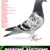 RO 26-288757 JersonHUGo Tatal este nepot din  Jerson C & G. Koopman Olympiad Pigeon'13 Long Distance Nitra 2 NPO Orleans 3480p 6 NPO Pithiviers 6452p Mama este nepoata  Jersonul super  reproducatorul lui  Dragos Chiritescu 34 Ace Algarve Golden 2023 Grand father to: 1 Final Five Star Golden Race 2023 3 Final BFP 2022 4 Ace Pigeon BFP '23 4 FINAL RACE (549km) + 9 ACE EXPRES LOFT  OLR 5 Ace Pigeon BFP '22 6 Final Athena Loft 6 Final Super derby Five Star OLR 2023 7 Ace Pigeon BFP'23 11 Final AGR 2024 12 Final BFP 2023 25 Final BFP 2023 25 S-Final BFP 2025 35 S-Final BFP 2025 38 Extra Derby RGP 48 Semifinal RGP 24 55 Final Algarve GR '25 69 Final Algarve GR'25 1 Nat ACE Middel D. 2 years 2025 3 Nat Middel Dist. 2025 7 Nat. ACE Middel D.  Yearling 2024 9 Nat.Middel d. Yarling  2024 4 Nat Middel D. 2024 1 2530p        374km 1  574p        374km 3  323         374km 4  653p        374km