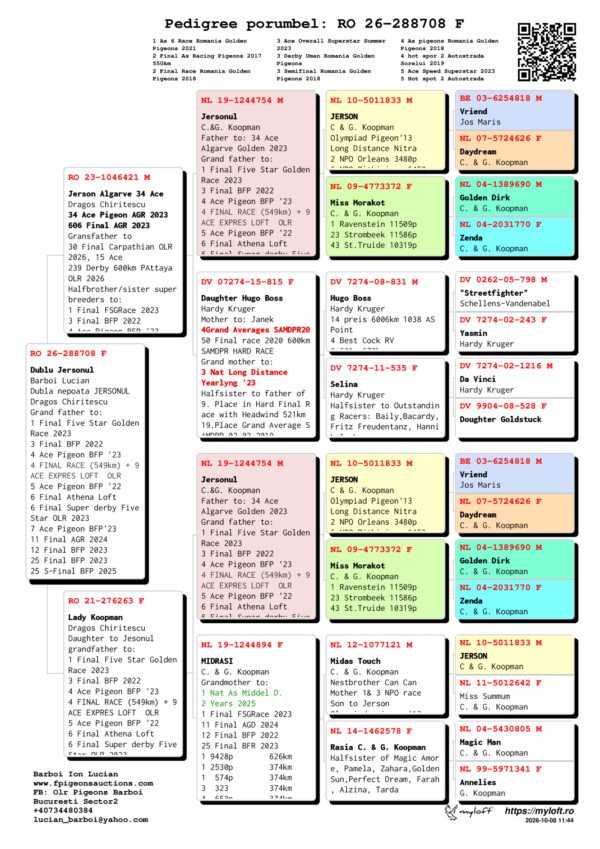 RO26288708F RO 26-288708 Dublu Jersonul Barboi Lucian Dubla nepoata JERSONUL Dragos Chiritescu Grand father to: 1 Final Five Star Golden Race 2023 3 Final BFP 2022 4 Ace Pigeon BFP '23 4 FINAL RACE (549km) + 9 ACE EXPRES LOFT OLR 5 Ace Pigeon BFP '22 6 Final Athena Loft 6 Final Super derby Five Star OLR 2023 7 Ace Pigeon BFP'23 11 Final AGR 2024 12 Final BFP 2023 25 Final BFP 2023 25 S-Final BFP 2025 35 S-Final BFP 2025 38 Extra Derby RGP 48 Semifinal RGP 24 55 Final Algarve GR '25 69 Final Algarve GR'25 1 Nat ACE Middel D. 2 years 2025 3 Nat Middel Dist. 2025 7 Nat. ACE Middel D. Yearling 2024 9 Nat.Middel d. Yarling 2024 4 Nat Middel D. 2024 1 2530p 374km 1 574p 374km 3 323 374km 4 653p 374km
