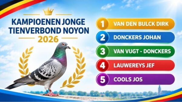 BE 2025/6063444 Jef Lauwereys    NEPOATA consangvina pe  "De  305":1e asduif Noyon Tienverbond 2019  Gert Heylen x Remco Jos Cools