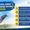 BE 2025/6063444 Jef Lauwereys    NEPOATA consangvina pe  "De  305":1e asduif Noyon Tienverbond 2019  Gert Heylen x Remco Jos Cools