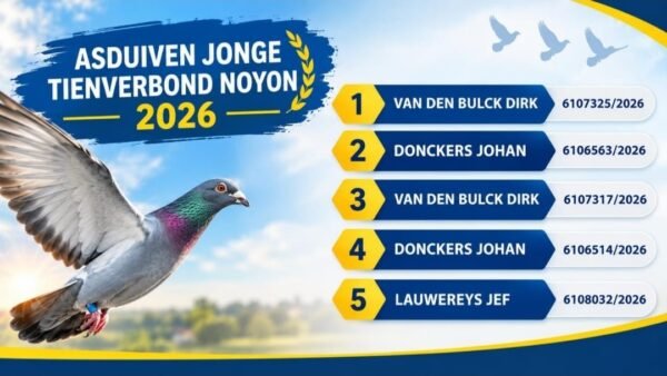BE 2025/6063444 Jef Lauwereys    NEPOATA consangvina pe  "De  305":1e asduif Noyon Tienverbond 2019  Gert Heylen x Remco Jos Cools
